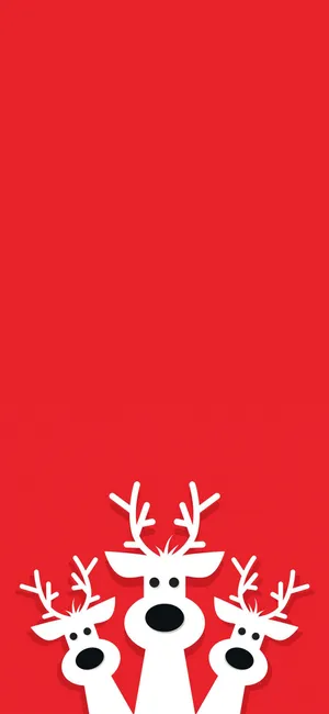 A Cute Red Ball Pup Wallpaper