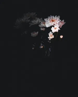 A Dark Background With Flowers In The Dark Wallpaper