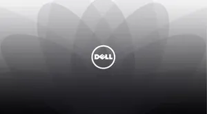 A Dell Hd Logo With Gray And White Design Wallpaper