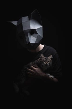 A Fun And Unique 3d Low-poly Cat Mask Wallpaper