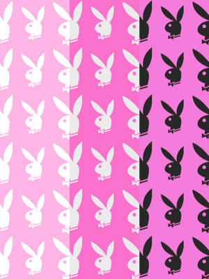 A Glamorous Moment At The Playboy Mansion. Wallpaper