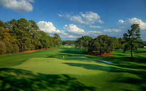 A Golf Course With Trees And Green Grass Wallpaper