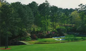 A Golf Course With Trees Wallpaper
