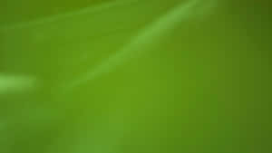 A Green Leaf Wallpaper