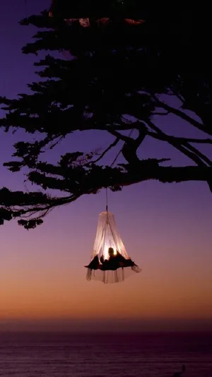 A Hammock Hanging From A Tree At Dusk Wallpaper