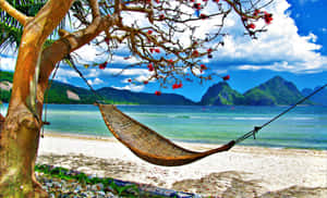 A Hammock Hanging On A Tree Wallpaper