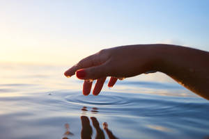 A Hand In Calm Water Wallpaper
