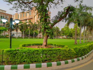 A I I M S Campus Greenery Lawn Wallpaper