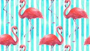 A Kawaii Laptop For A Stylish Look Wallpaper