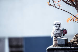 A Lego Stormtrooper Of The Star Wars Universe. Wallpaper