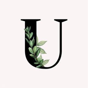 A Letter U With Green Leaves And Leaves Wallpaper