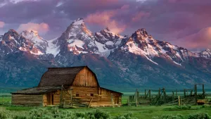 A Lively Meadow Of Green Grass And Wildflowers At A Ranch Wallpaper