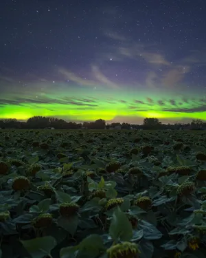 A Magical Scene Of The Northern Lights Wallpaper