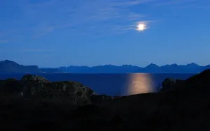 A Magnificent View Of The Moon And Nature Wallpaper