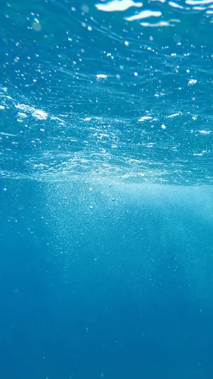 A Man Is Swimming In The Ocean Wallpaper