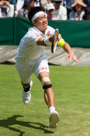 A Man Playing Tennis Wallpaper