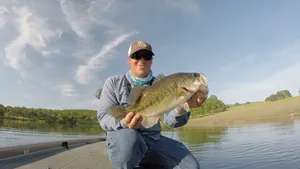 A Medium Largemouth Bass Wallpaper