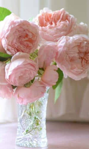 A Multi-colored Peony Wallpaper For Your Iphone Wallpaper