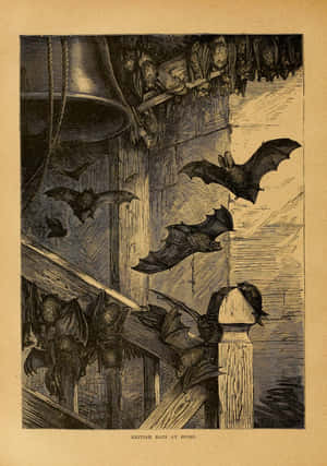 A Mysterious Woman In A Gothic Crimson Dress Sits In An Eerie Graveyard. Wallpaper