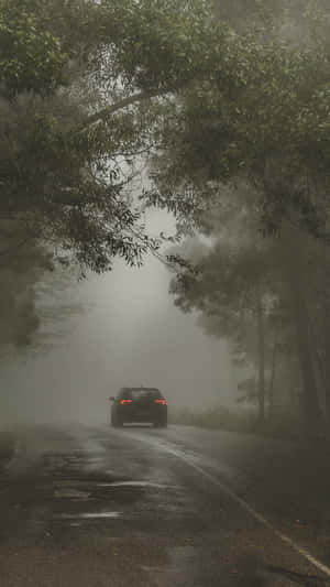 A Mystical View Of Nature At Night Wallpaper