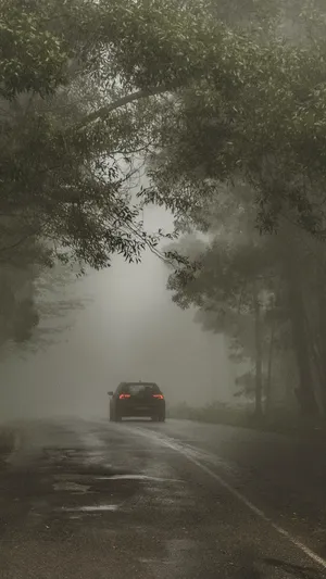 A Mystical View Of Nature At Night Wallpaper