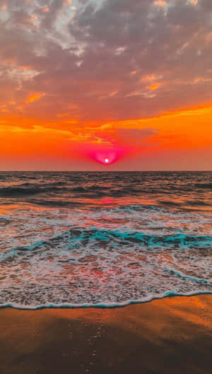 A Nature Lover's Dream: Android In The Woods Wallpaper