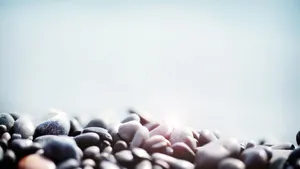 A Peaceful Afternoon By A Serene Lake In The Middle Of A Forest Wallpaper