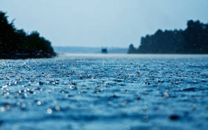 A Peaceful Approach To The Sea In The Wake Of Rain. Wallpaper