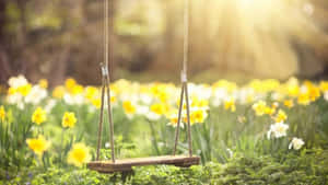 A Peaceful Walk In The Simple Beauty Of Spring Wallpaper
