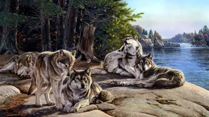 A Perfect Pair Of Cute Wolves Taking A Break In A Wooded Setting Wallpaper