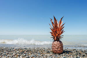 A Pineapple Rests Atop Turbulent Rocky Waters Wallpaper