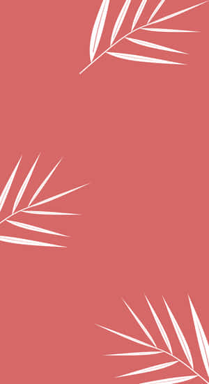 A Pink Background With White Palm Leaves Wallpaper