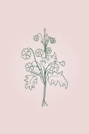 A Plant With Flowers On A Pink Background Wallpaper