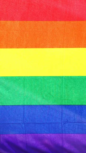 A Rainbow Flag With A Rainbow On It Wallpaper