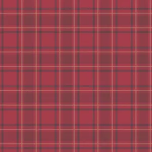 A Red Plaid Fabric By Sassy_stitch On Spoonflower - Custom Fabric Wallpaper