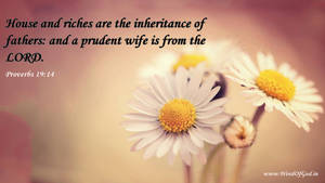 A Representation Of Prudence And Wisdom Wallpaper