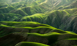 A Serene Spring Day On The Desktop Wallpaper