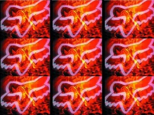 A Series Of Images Of Foxes In Red And Orange Wallpaper