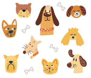 A Set Of Dog Faces With Bones Wallpaper