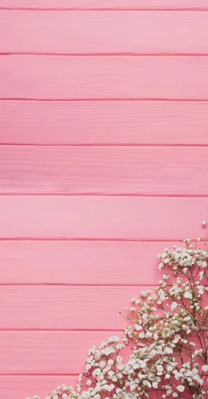 A Simple Yet Stylish Rose Pink Wallpaper