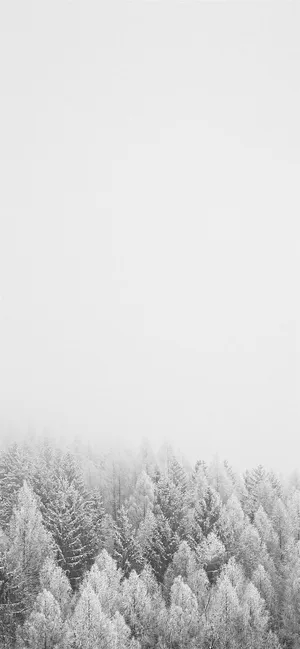 A Sleek Iphone In The Snow Wallpaper