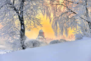 A Snow Covered Forest With Trees And A Church Wallpaper