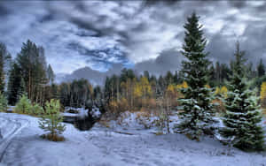 A Snow Covered Forest With Trees And Clouds Wallpaper