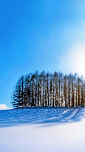A Snow Covered Hill With Trees In The Background Wallpaper