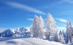 A Snowy Landscape Winter Wonderland Desktop Wallpaper
