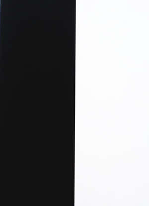 A Striking Split Background With Half Black And Half White Wallpaper