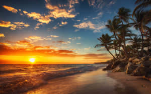 A Sunset Over A Beach With Palm Trees Wallpaper