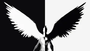 A Symmetrical Balance Between Half Black And Half White In A Horizontal Composition. Wallpaper