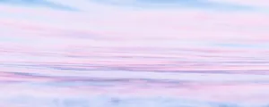 A Tranquil View Of The Nature Around Us. Wallpaper