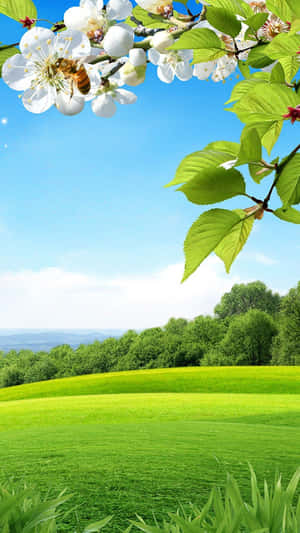 A Unique And Beautiful Landscape Wallpaper